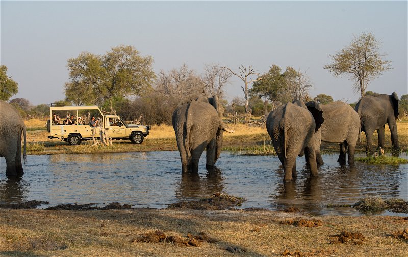 Safari jeep at Chobe, Botswana