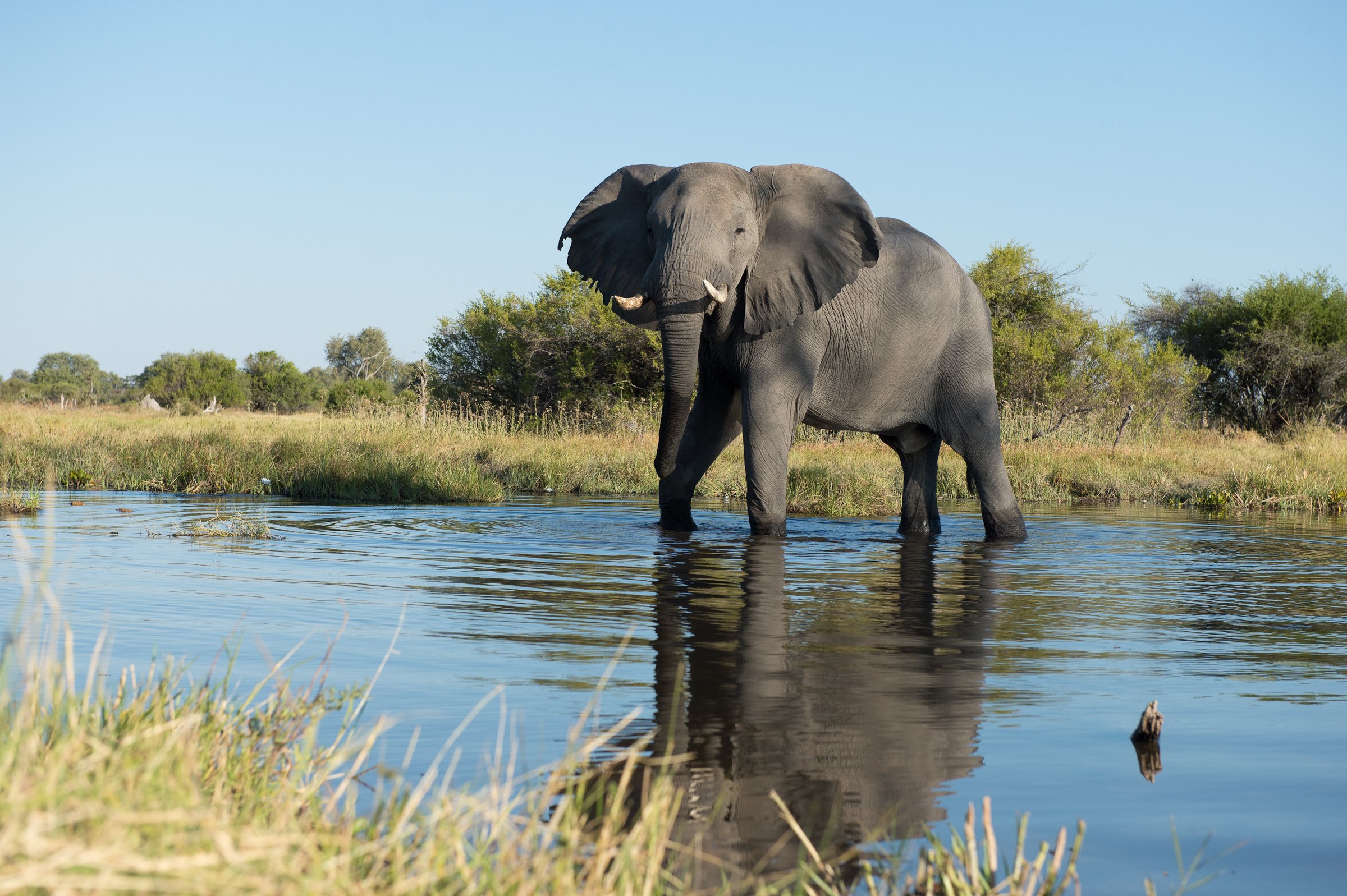 How to choose the best African safari holiday for you