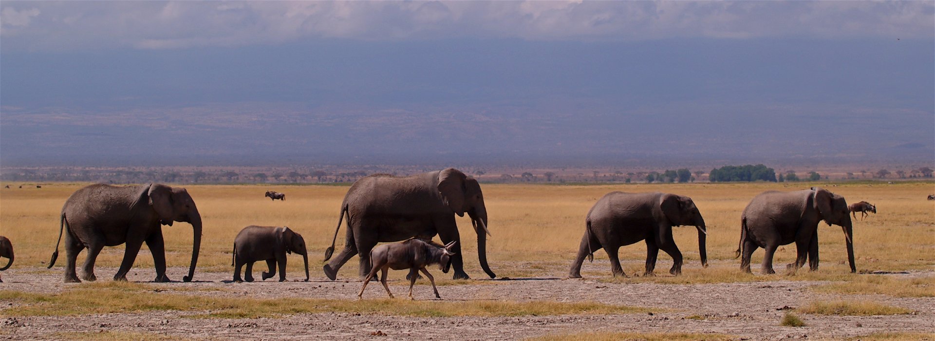 Africa for families: 7 destinations for summits, safari and beyond