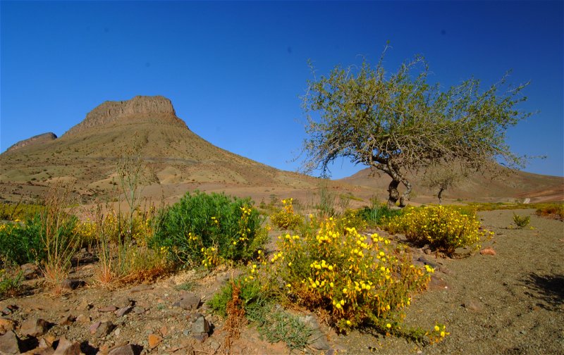 The Jebel Sahro