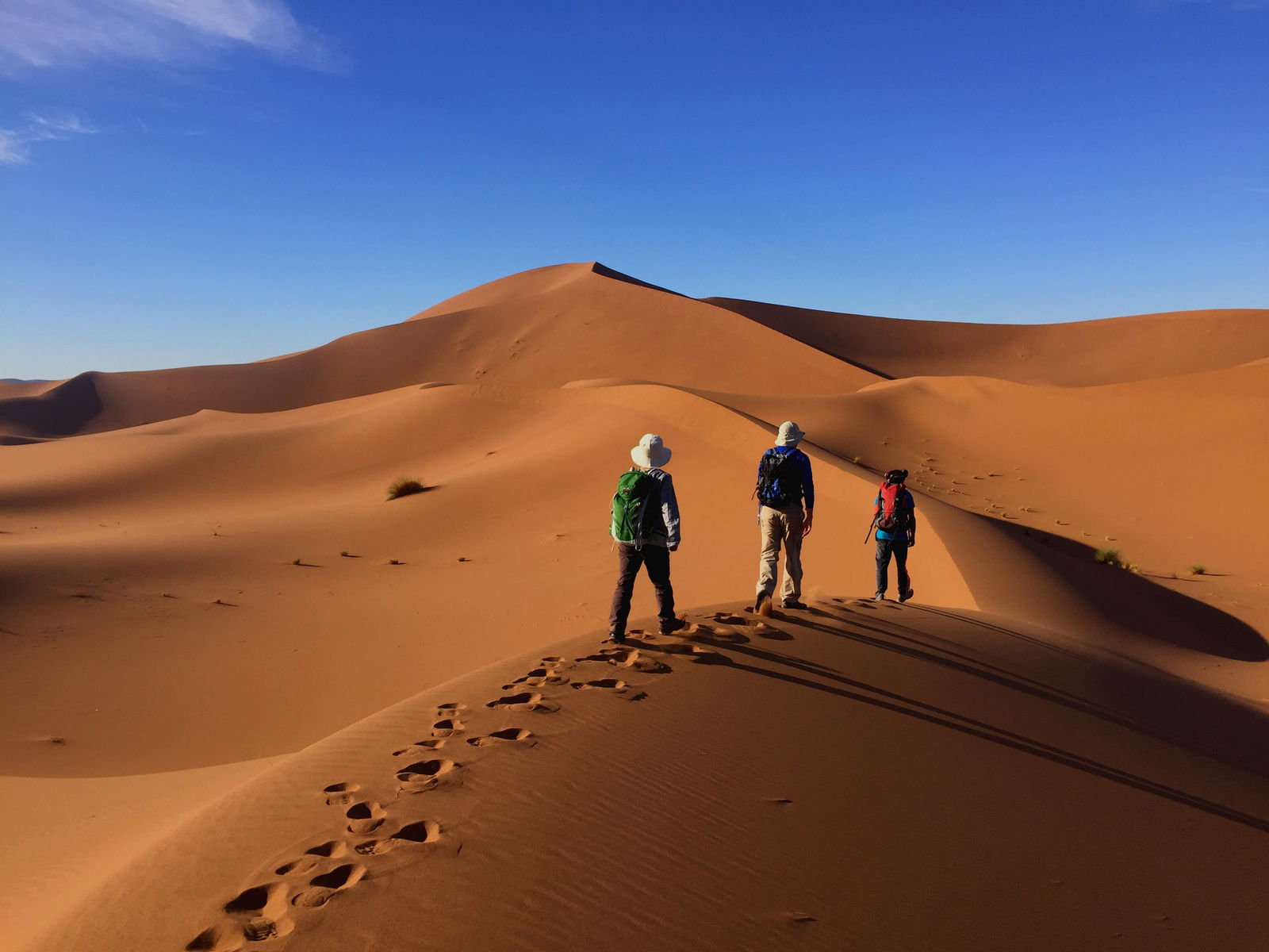 Desert walking shop