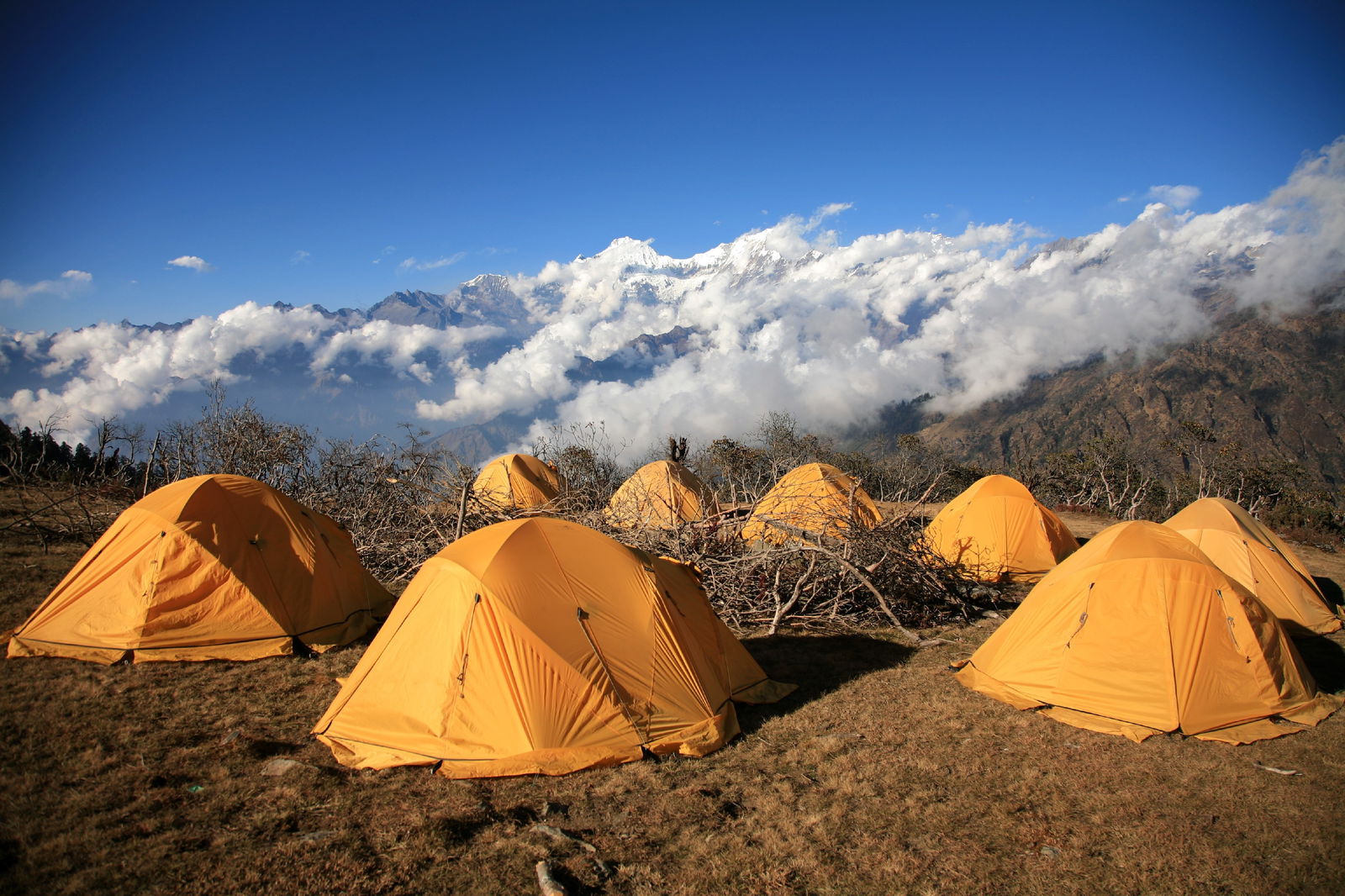 Himalayan walking holidays best sale