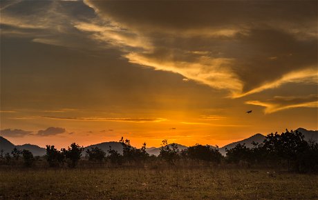 Sunset over the savanna