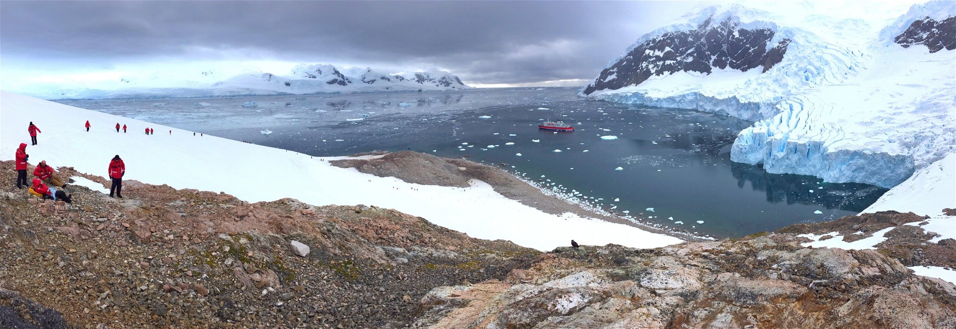 Arctic and Antarctic Cruises Explained