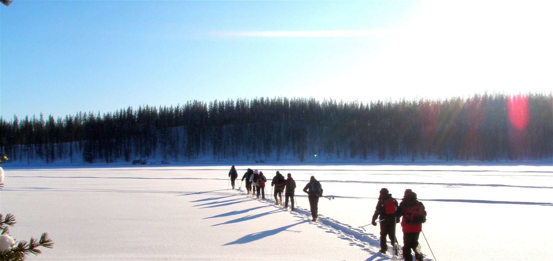 A Guide to Snowshoeing
