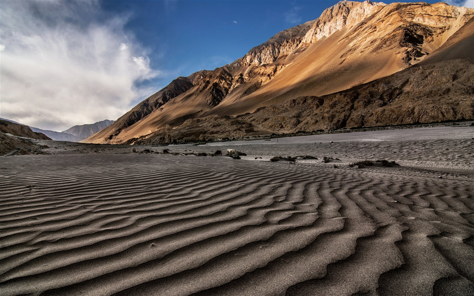 Ladakh News: Ladakh to give Nubra Valley an upgrade and develop