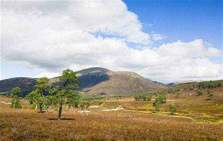 Walking in the Cairngorms and Deeside 26