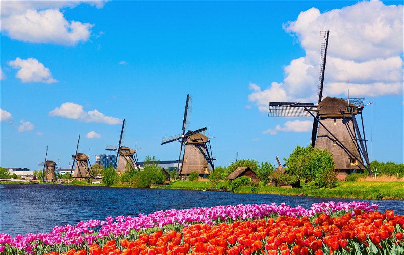 Historic windmills and pretty tulips at UNESCO Kinderdijk