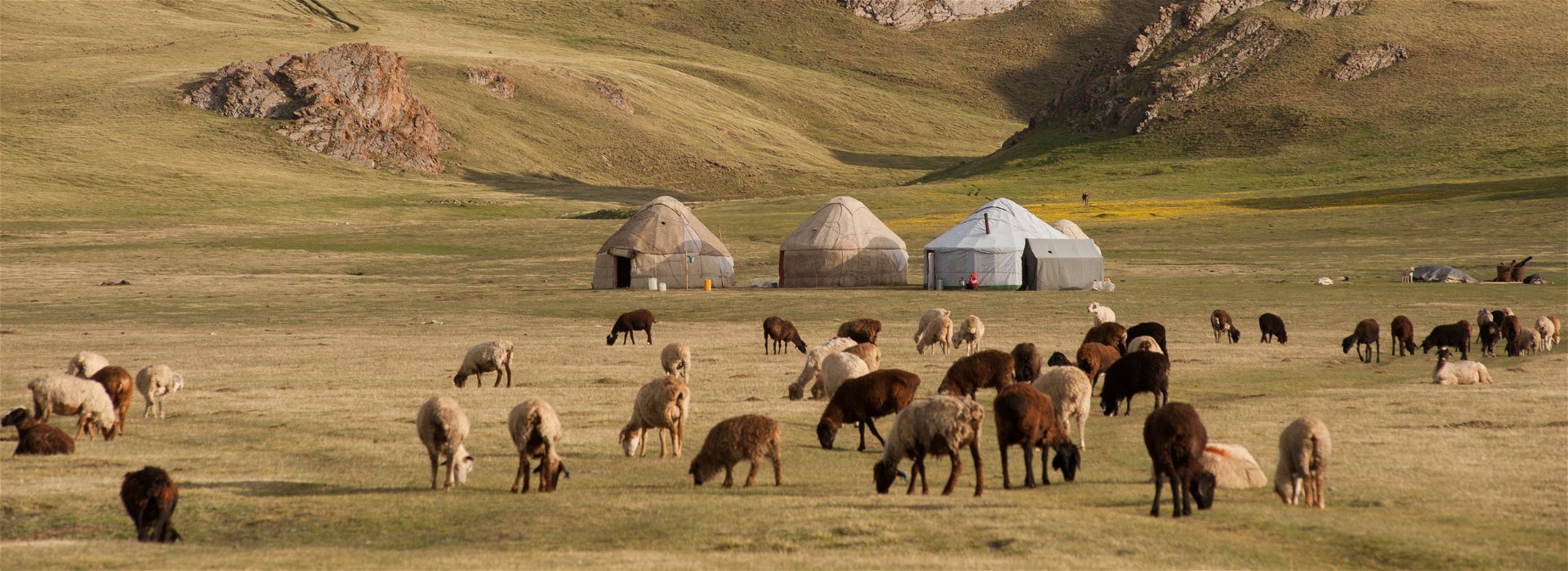 Understanding the Stans: exploring Central Asia