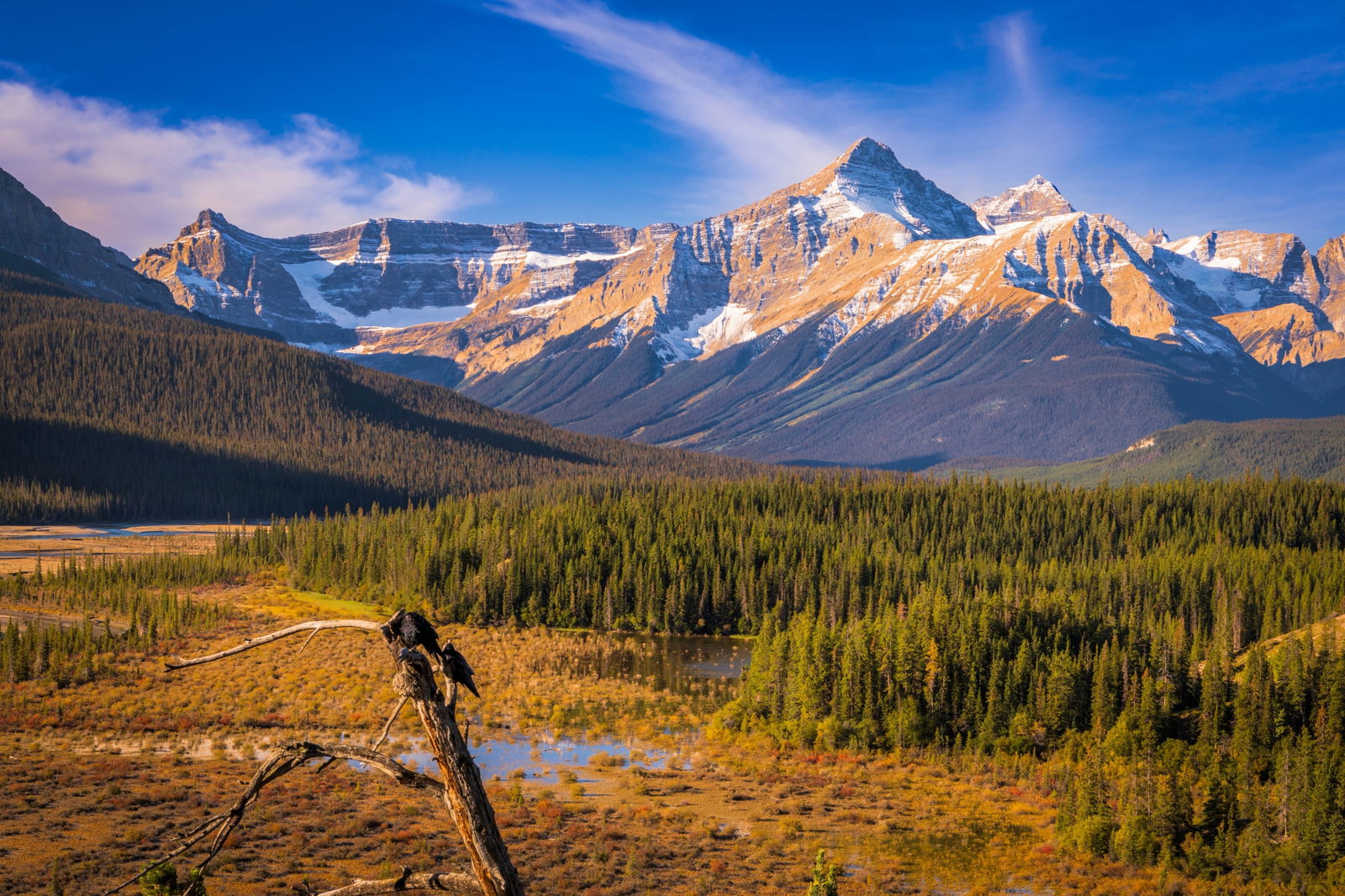 Walking Highlights of the Rockies