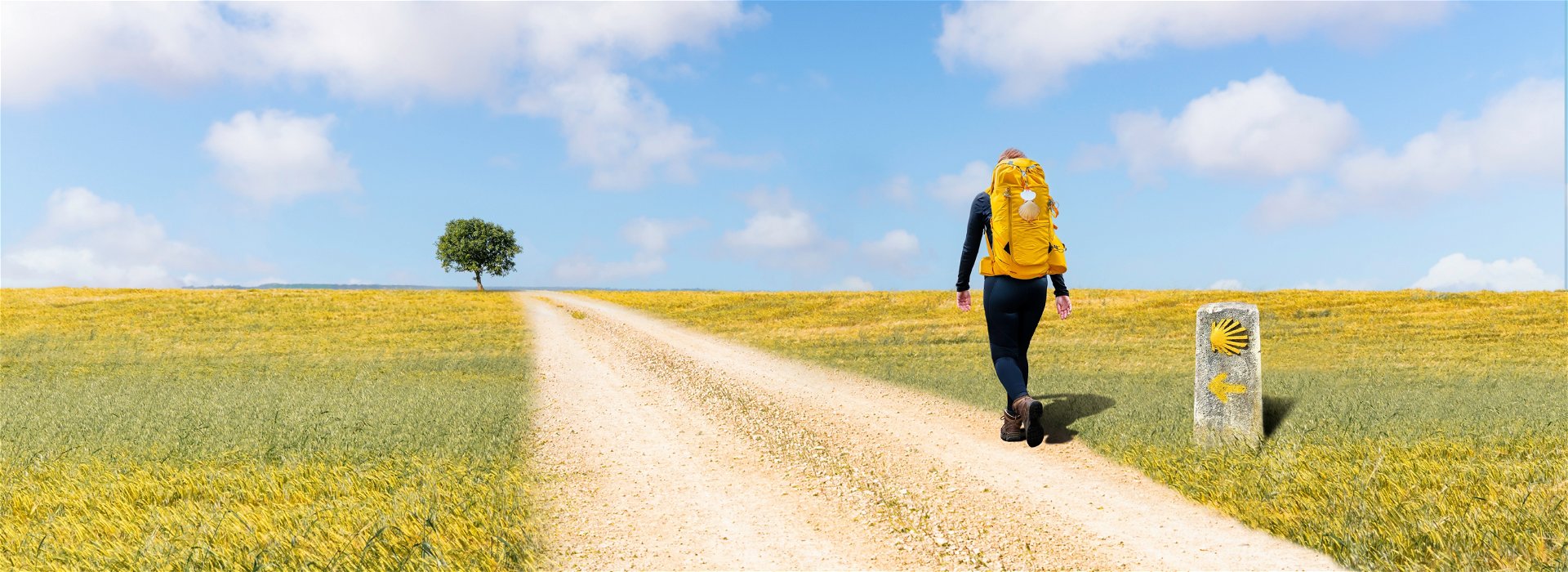 The French Way vs the Portugese Way: Which Camino trek?