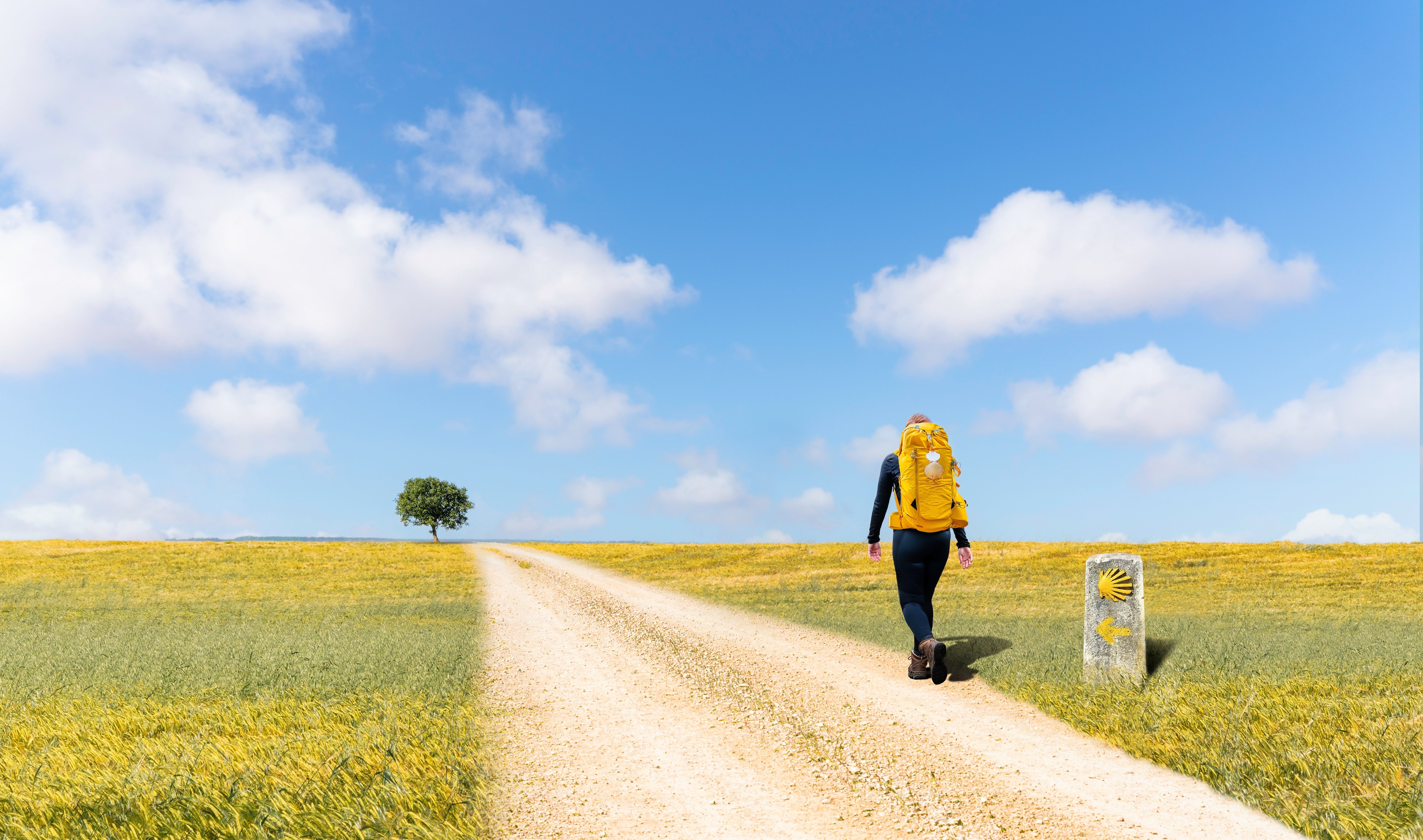 The French Way vs the Portugese Way: Which Camino trek?