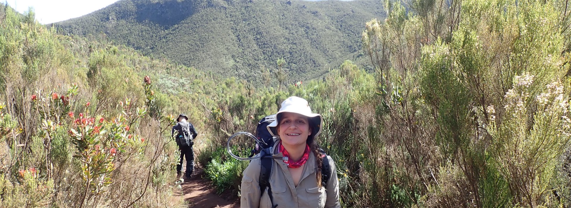 Alison's journey up Kilimanjaro